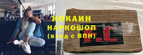 мдпв Тавда