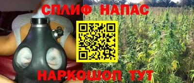 ПСИЛОЦИБИНОВЫЕ ГРИБЫ Гагарин