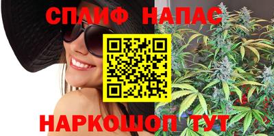 дмт Гатчина