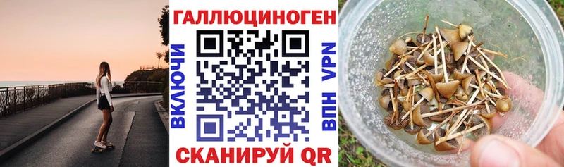 Галлюциногенные грибы мицелий  Мариинск 