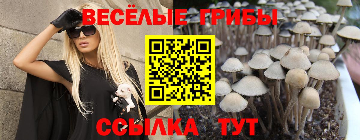 Галлюциногенные грибы прущие грибы Мариинск