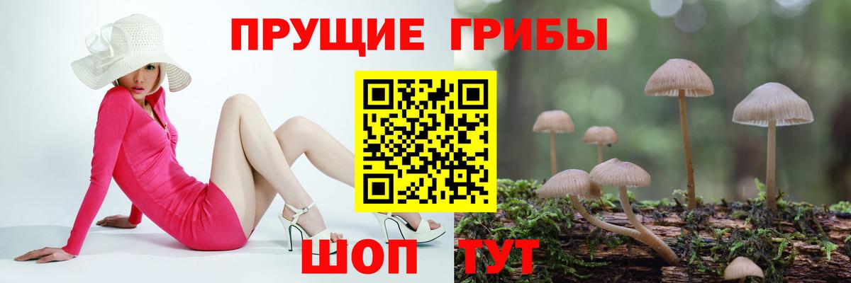 Мариинск  Псилоцибиновые грибы мицелий  Вход с VPN  Псилоцибиновые грибы Psilocybe 